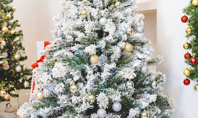 Inima mai mare decât frica: Cum am devenit mama a șase copii într-o singură noapte