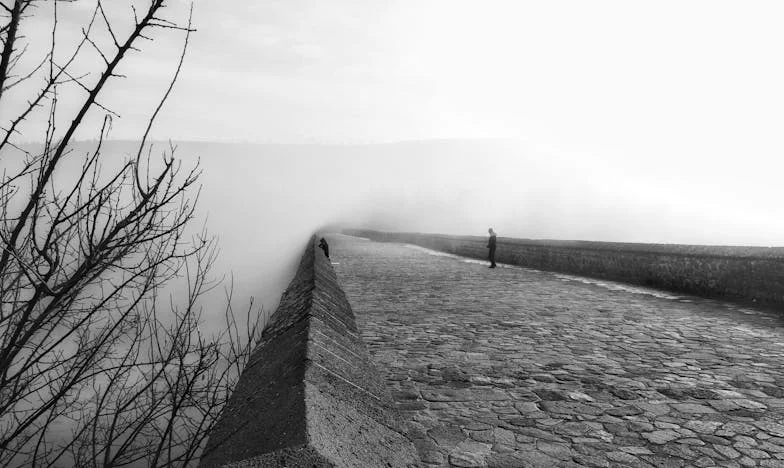 Întoarcerea într-o casă goală: Cum lăcomia ginerelui meu a destrămat familia