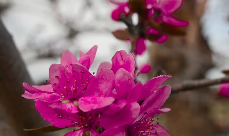 Între două case: Cum am învățat să-mi iert soacra – o poveste adevărată despre granițe, familie și iubire