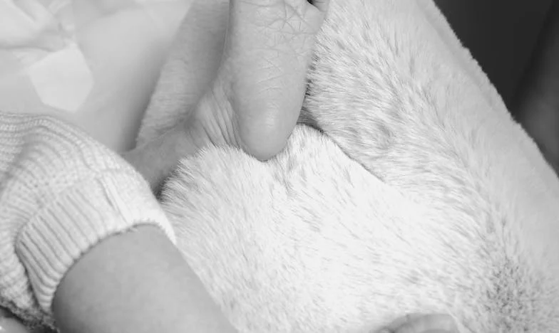 Moștenirea bunicii: O casă plină de fisuri