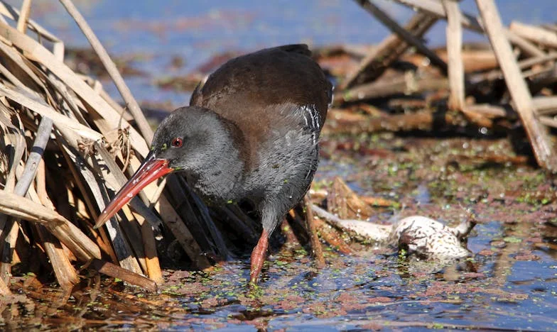 „Niciodată nu am fost cu adevărat mamă pentru fiul meu – iar acum, când are nevoie de mine, oare mai pot repara ceva?”