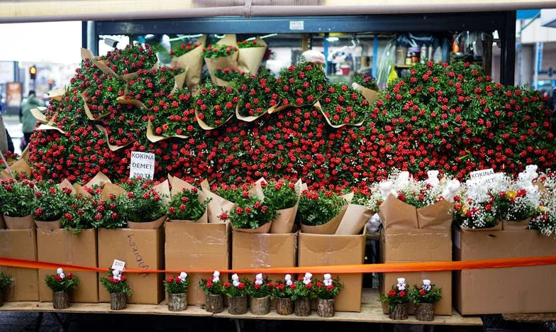 Nu i-am spus soțului meu cât câștig – acum sunt singură, dar am găsit liniștea