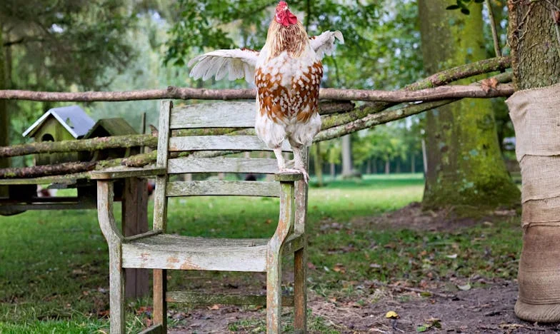 Nu-mi mai calcă soacra pragul: Povestea granițelor pe care a trebuit să le trasez