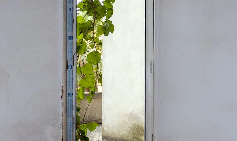 O duminică la masa socrilor – ziua în care totul s-a schimbat