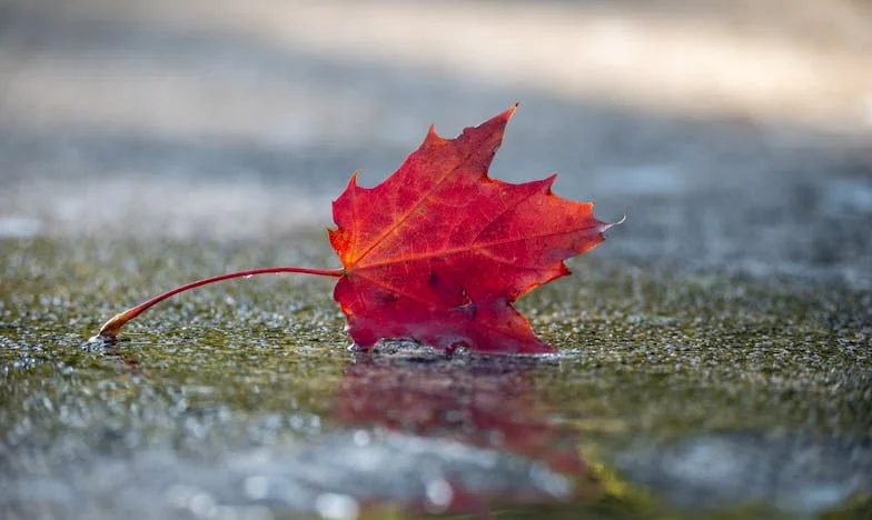 Povara iubirii: Când ajutorul devine o povară