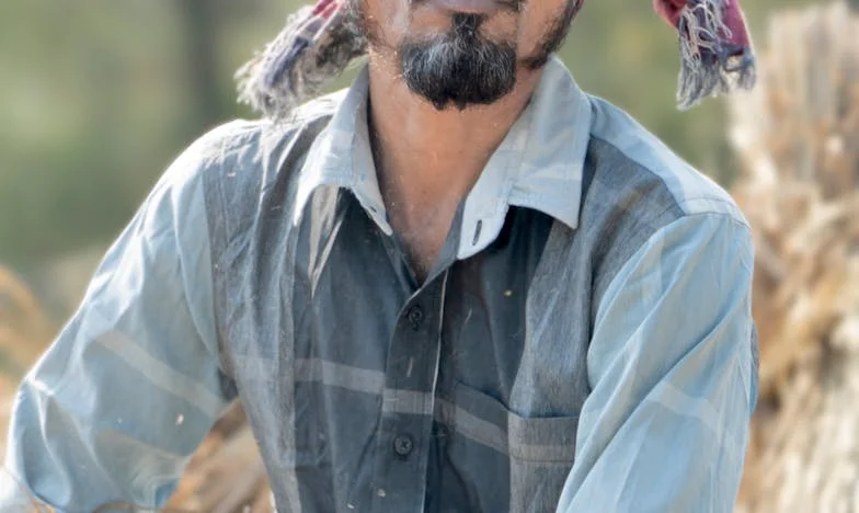 Sub umbra nucului: Vara când familia mea s-a destrămat