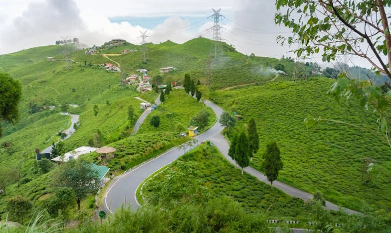 Trei decenii de tăcere: Întoarcerea mea acasă după o viață de regrete