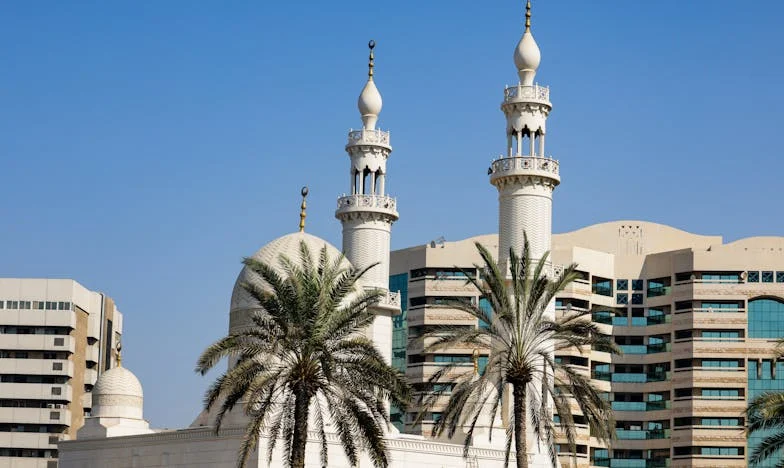 Ultimatumul soacrei: Povestea mea despre curaj, familie și sacrificiu