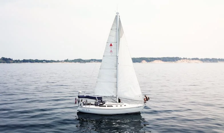 Umbra Minciunii: Cum Am Descoperit Că Cumnata Mea și-a Falsificat Sarcina pentru a Nu Munci