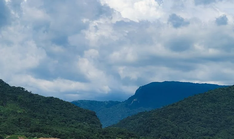 Un an de tăcere: Întoarcerea neașteptată a lui Radu