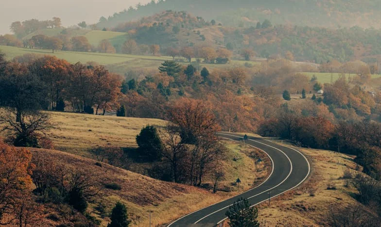 „Un singur nepot ajunge!” – Lupta mea pentru dreptul la fericire în umbra soacrei