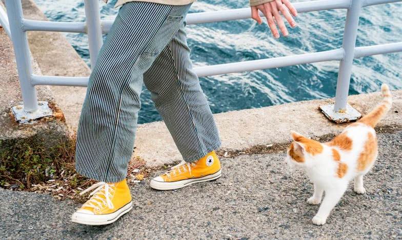 Adevărul amar din casa socrilor: O vizită care mi-a schimbat viața