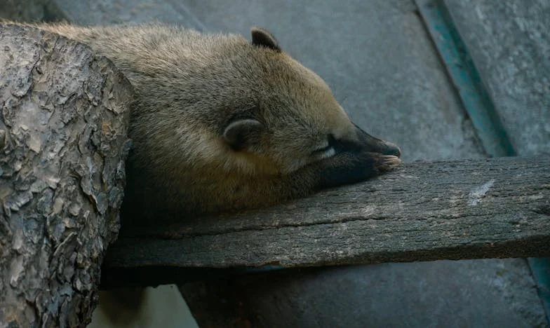 „Aveți o lună să vă găsiți alt loc. Am nevoie să fiu singură acum.” Povestea unei despărțiri între mamă și fiice