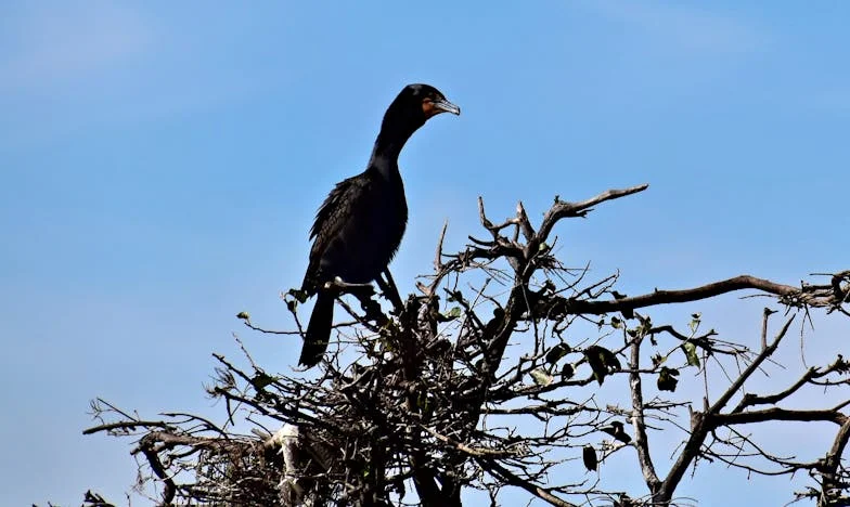 Banii mei, viața mea: Povestea Anei între frică și libertate
