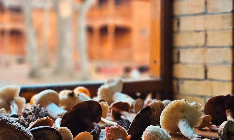 Când dragostea doare: Povestea unei mame, a unei fiice și a unui nepot pierdut