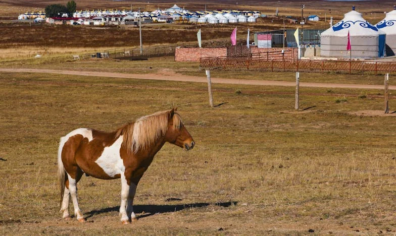 Când după divorț am rămas cu mâinile goale – Povestea mea despre demnitate și renaștere