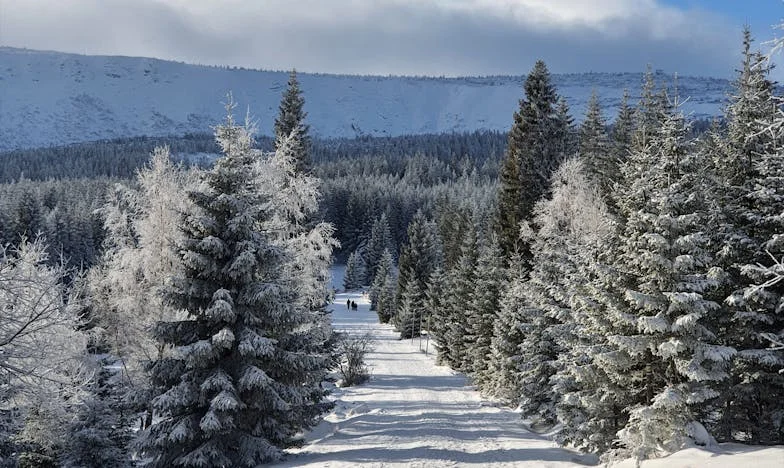 Când soțul meu a dat toată munca mea mamei lui – furtuna din bucătăria unei familii românești