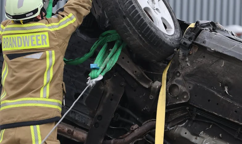 Când toți au plecat: Povestea Verei și a fiului ei, Nicolae