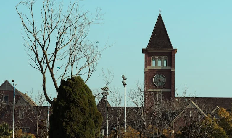 Cererea bunicii: Prețul iubirii sau al sacrificiului?