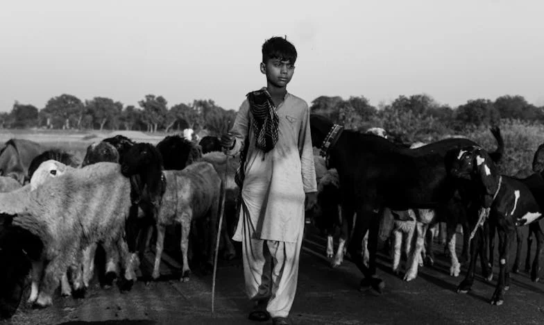 Fațada de Fier a Ilincăi: Povestea unei Inimi Nevăzute