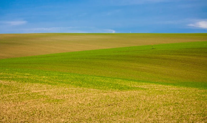 În umbra iubirii bunicii: Povestea unei familii sfâșiate