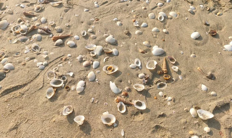 Întoarsă ca un pachet: Povestea unei fete din centru și a femeii care nu a putut s-o uite