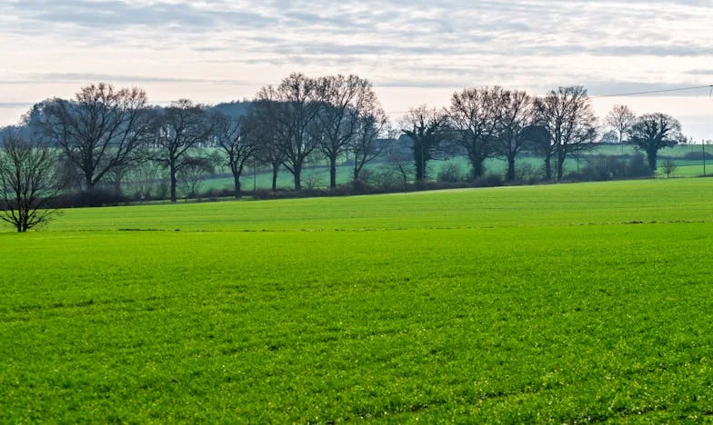 Izgonul din propriul cămin: Povestea unei trădări, a iertării și a unui nou început