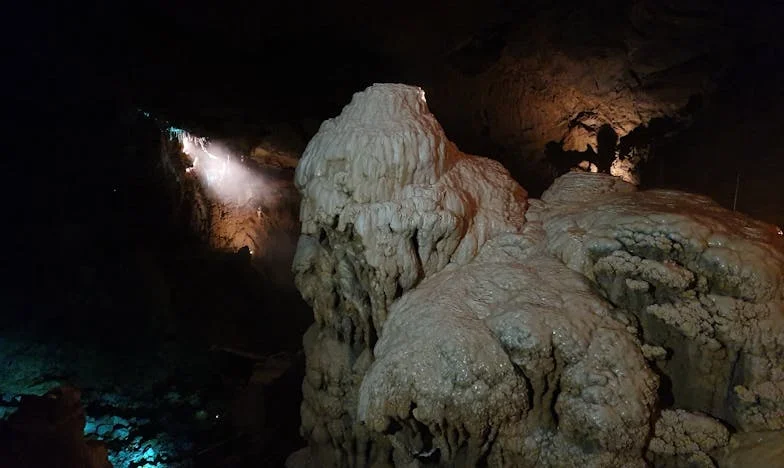 M-au lăsat să mor – și apoi a venit acea scrisoare blestemată. Povestea lui Radu din Iași