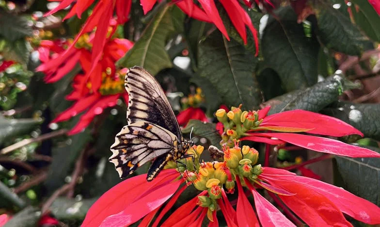 „Nu am fost niciodată o mamă bună”: Mărturisirea care mi-a schimbat viața