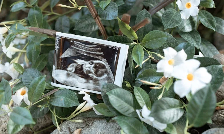 Secretul care a schimbat totul: Povestea unei familii românești