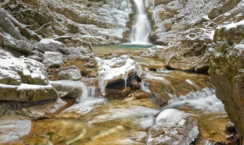 Umbra din ochii lui Vlad: Povestea unei familii care nu a știut să iubească altfel