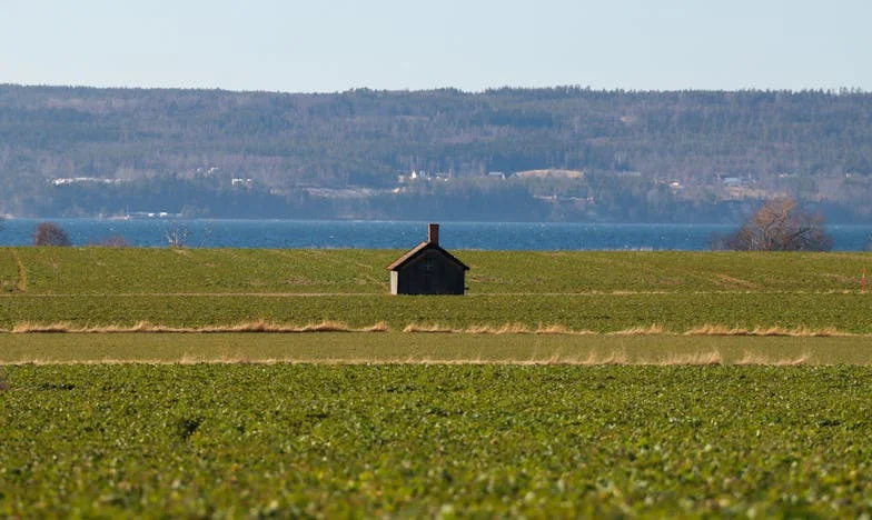 Ajută-mă! Fiica mea se așteaptă să fiu bonă non-stop pentru nepoata mea și nu știu cum să-i spun că nu mai pot