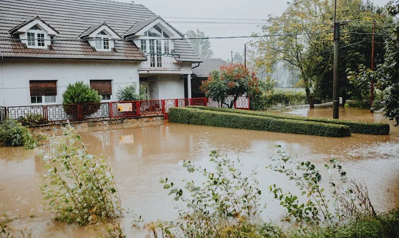 La capătul răbdării: Cum câinele nostru a devenit motivul despărțirii