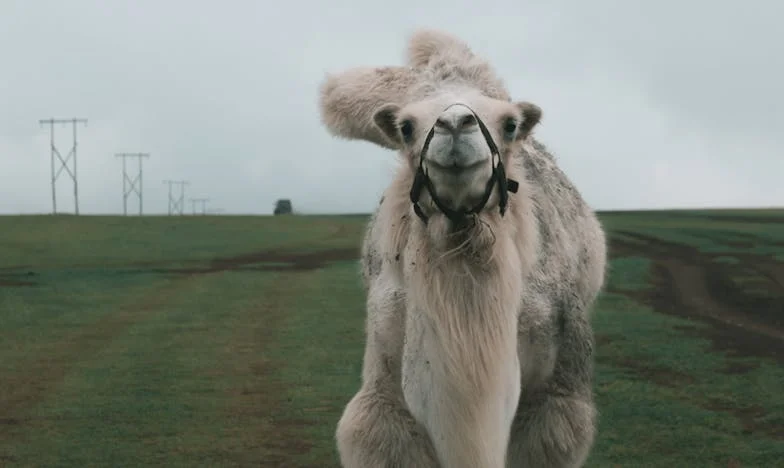 Mărturisirea Aliciei: Sarcina neașteptată la 44 de ani și lupta cu prejudecățile