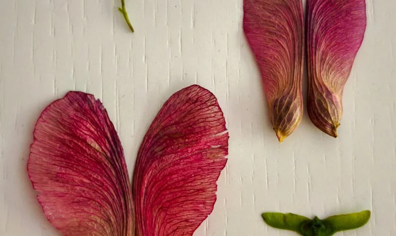 Nu știu cât primește mama la pensie – și nici nu cred că ar trebui să știu