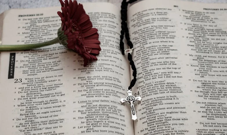 Soțul meu voia să divorțeze pe ascuns – într-o săptămână am salvat averea familiei