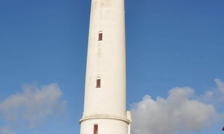 Teama pentru viitorul fiului meu: Moștenirea lăsată de soț, intrigi de familie și lupta pentru siguranță