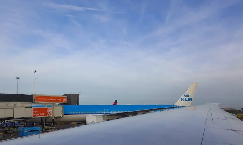 Când familia te cheamă acasă: Povestea unui drum fără întoarcere