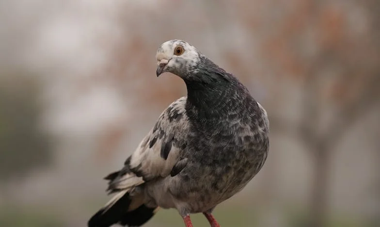 În fiecare zi la biserică: Adevărul dureros din spatele schimbării soțului meu