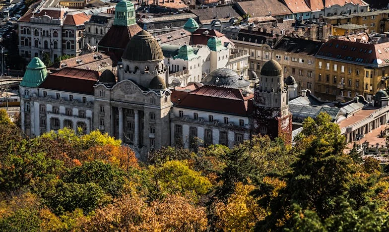 Între două lumi: Povestea mea despre sacrificiu și regăsire