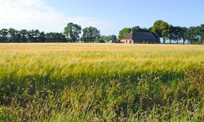 Între tăcere și adevăr: Povestea mea cu diagnosticul