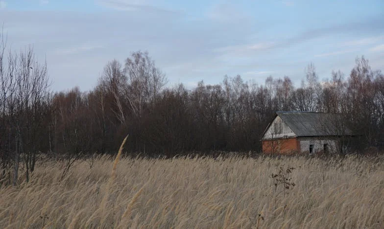 Am fost nevoită să-mi dau afară soacra de la petrecerea de casă nouă: Soțul meu nu a fost de acord cu ce a spus ea