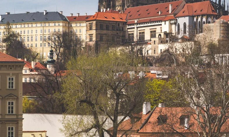Când am devenit oaspete în propria mea familie: Povestea unei mame românce