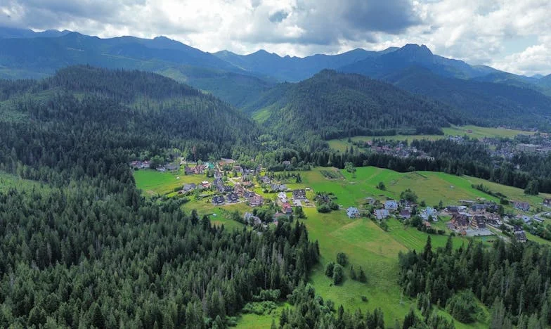 Când legăturile de sânge se destramă: O mamă, un fiu și femeia pe care o iubește