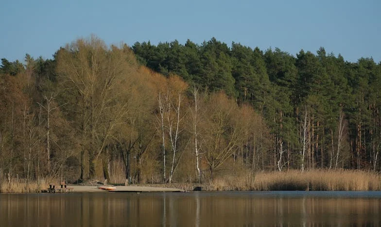 Când soacra hotărăște pentru noi: Povestea granițelor, așteptărilor și luptei pentru liniștea mea