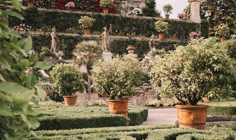 Construiesc casa soacrei mele – dar cine construiește familia mea?