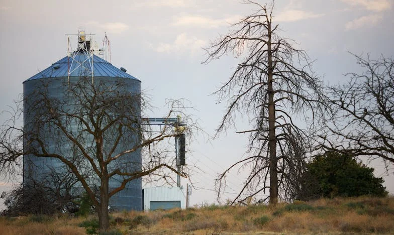 „Dogădește-te cu fratele tău!” – Cum o promisiune a mamei a rupt familia noastră