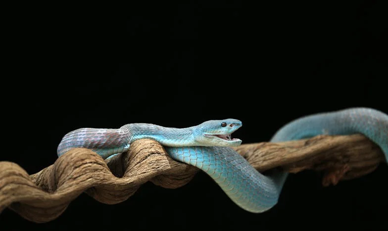 Propunerea amară a soacrei: Cum am rămas singură cu fetița mea și familia mea s-a destrămat