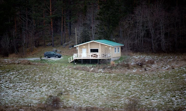 Să intervin sau să-i las să decidă? O dilemă de părinte într-o familie românească