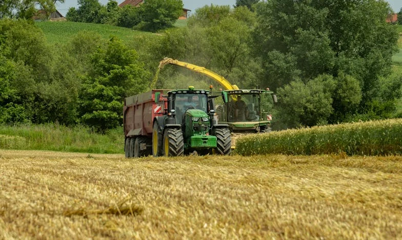 Soțul meu crede că nu sunt o gospodină bună – după ce a discutat cu mama lui